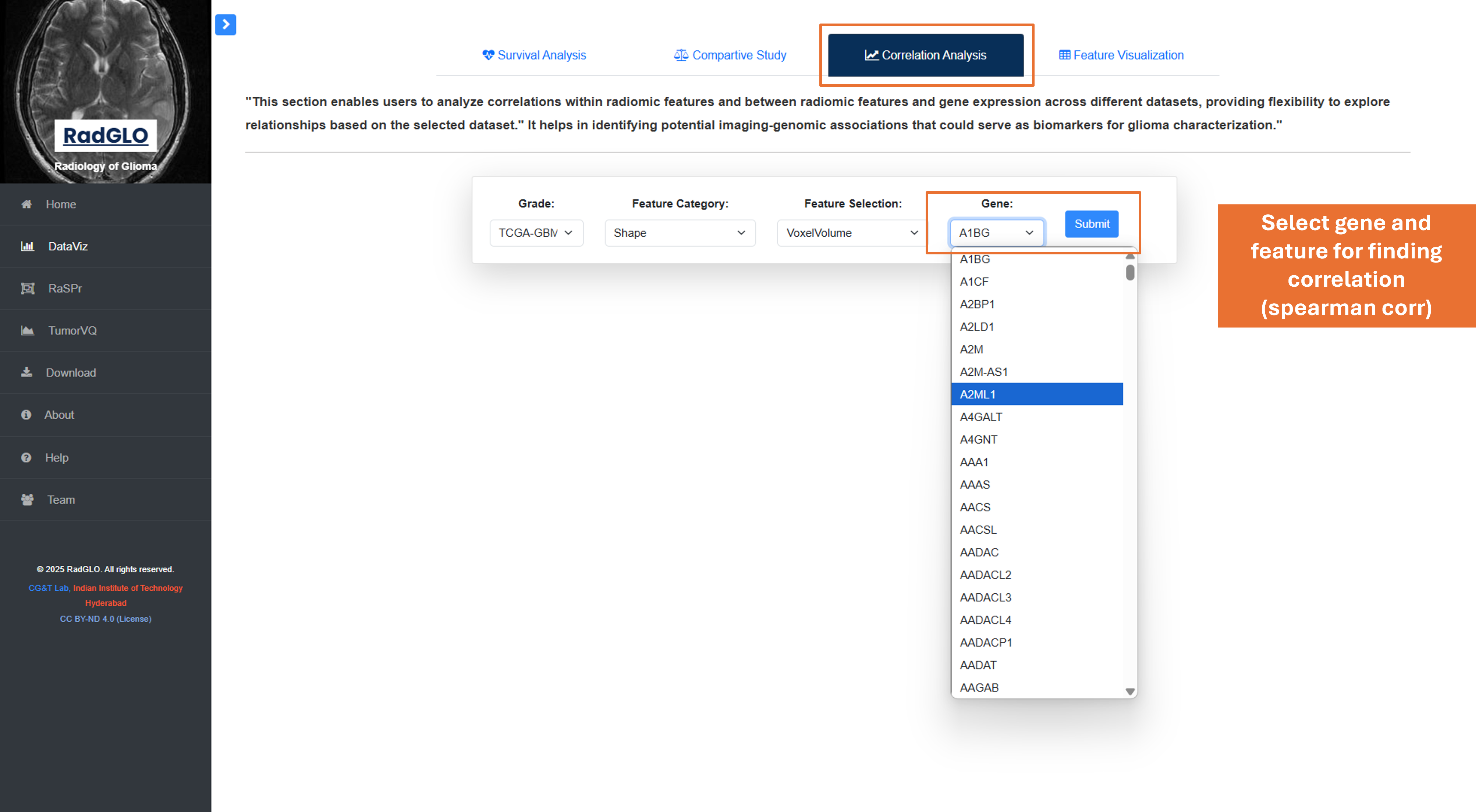 Correlation Analysis Screenshot